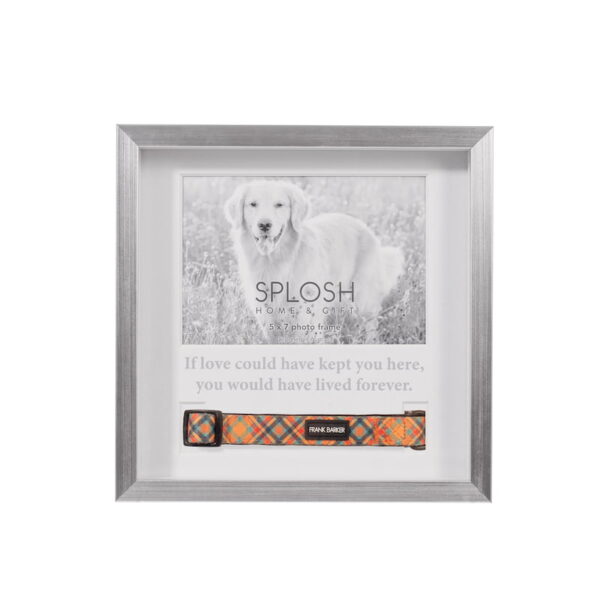 Splosh Sympathy Pet Memorial Collar Frame (5) - Love Shack Giftware