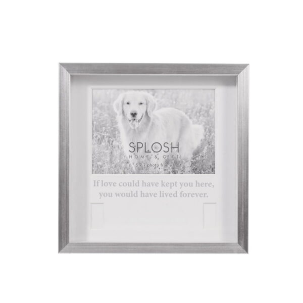 Splosh Sympathy Pet Memorial Collar Frame (6) - Love Shack Giftware