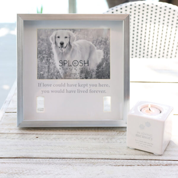 Splosh Sympathy Pet Memorial Collar Frame - Love Shack Giftware