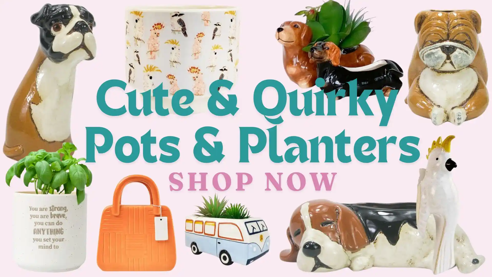 Website Banner - Cute & Quirky Planters