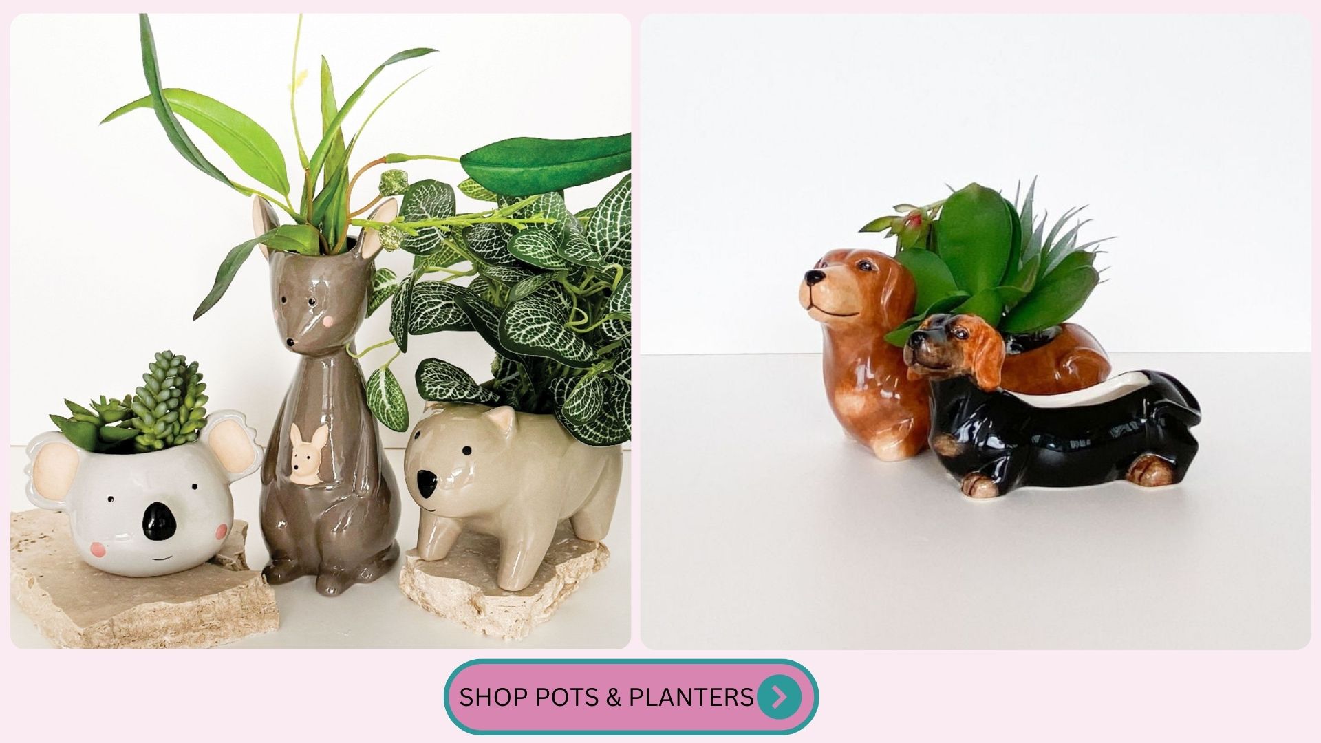 SHOP POTS AND PLANTERS