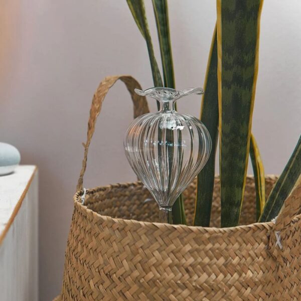 Annabel Trends - Plant Water Bubble - Bulb - Love Shack Giftware (1)