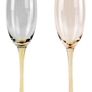 Bebe Ombre Champagne Glass Colourful 25cm - Love Shack Giftware