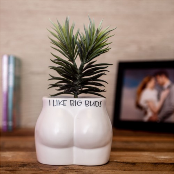 Put Some Plants On – I Like Big Buds Planter - Love Shack Giftware