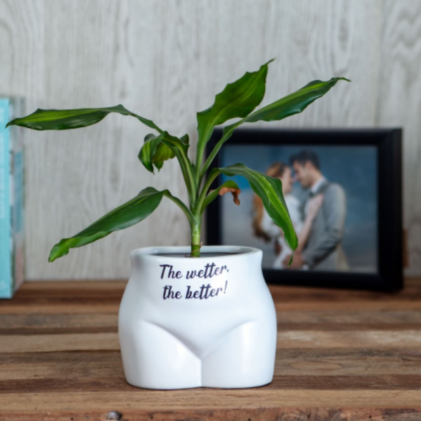 Put Some Plants On – The Wetter, The Better Planter - Love Shack Giftware