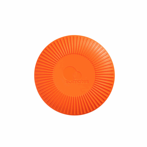 Desert Orange Refillable Roll-On Applicator (50ml) - Love Shack Giftware